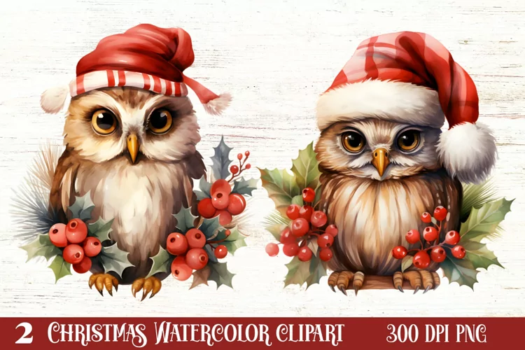 Cute Owl Christmas Sublimation Clipart, Christmas PNG