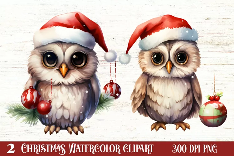 Cute Owl Christmas Sublimation Clipart, Christmas PNG