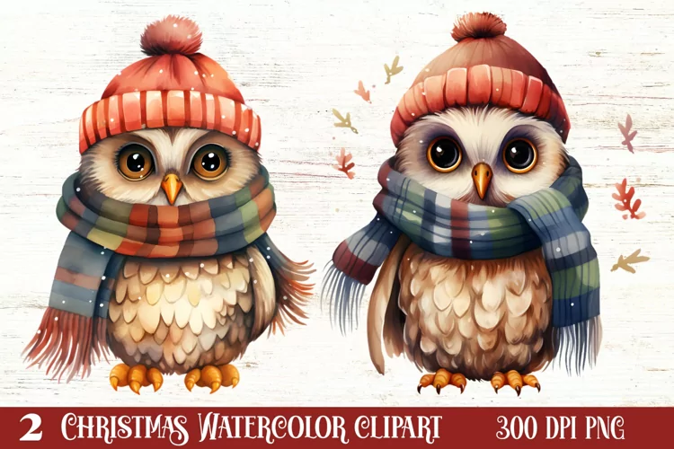 Cute Owl Christmas Sublimation Clipart, Christmas PNG