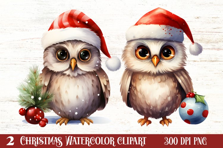 Cute Owl Christmas Sublimation Clipart, Christmas PNG