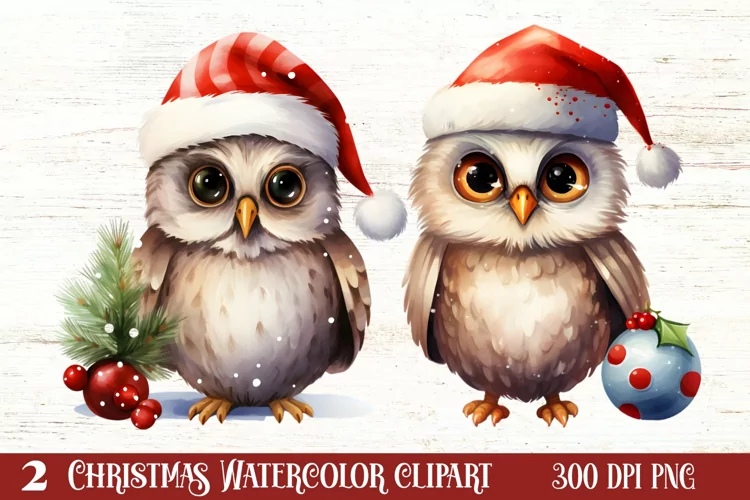 Cute Owl Christmas Sublimation Clipart, Christmas PNG