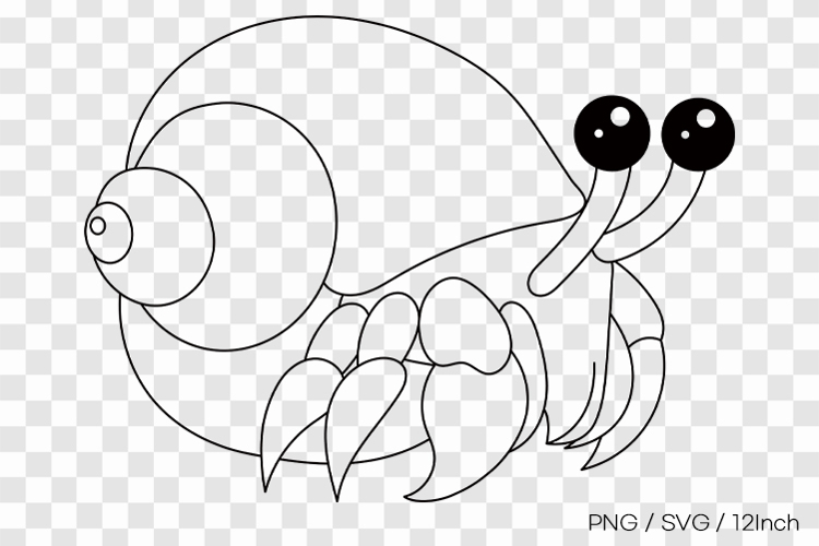 Shell Outline Image 17