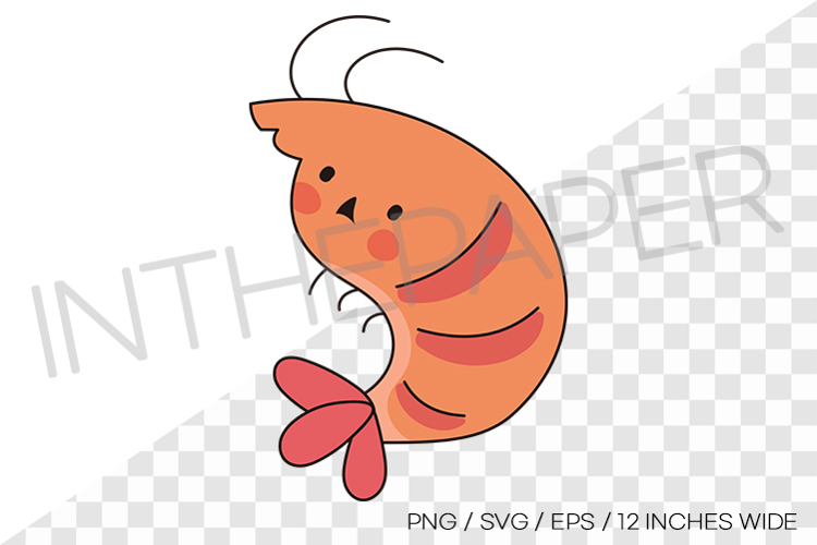 Cute shrimp PNG summer clipart sea animal illustration example image 1