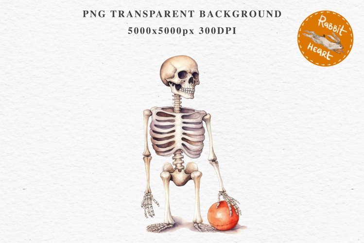 Skeleton PNG Image 18