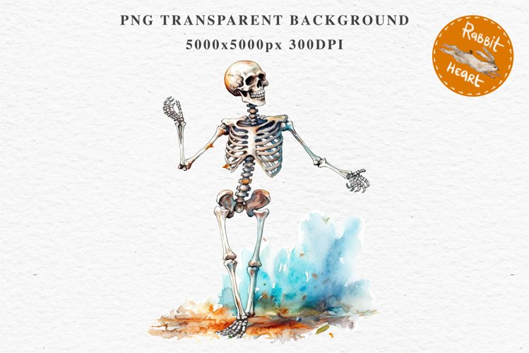 Skeleton PNG Image 12