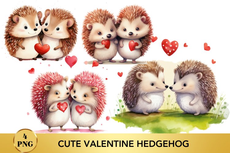 Hedgehog Png Image 24