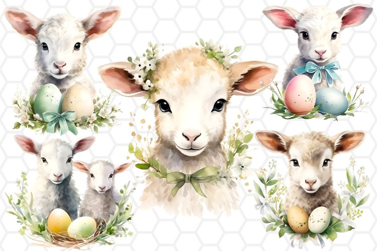 Lamb Png Image 14