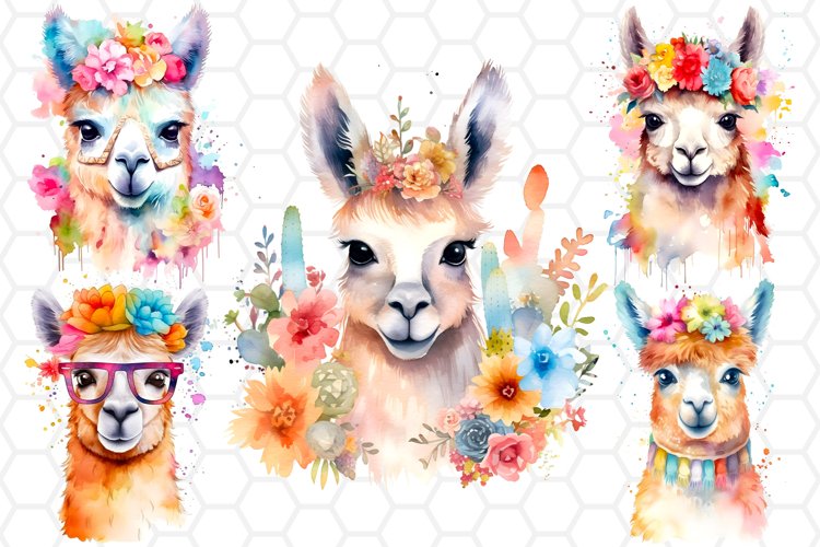 Llama Png Image 23