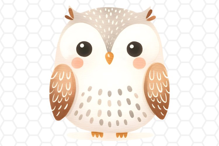 Cute Watercolor Owl Clipart Owl PNG Design