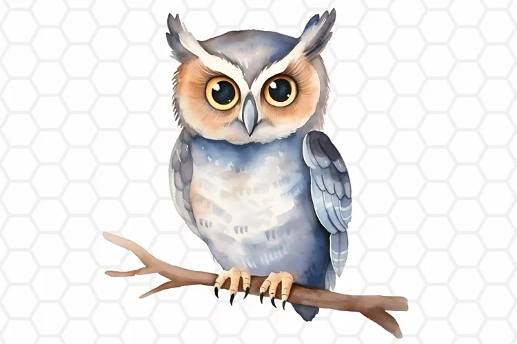 Cute Watercolor Owl Sublimation Clipart PNG