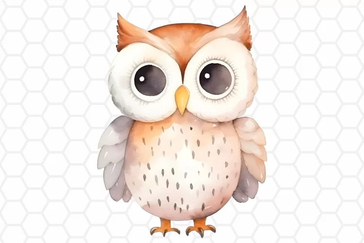 Cute Watercolor Owl Sublimation Clipart PNG
