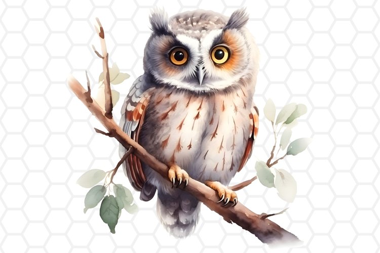 Owl Clipart Image 17