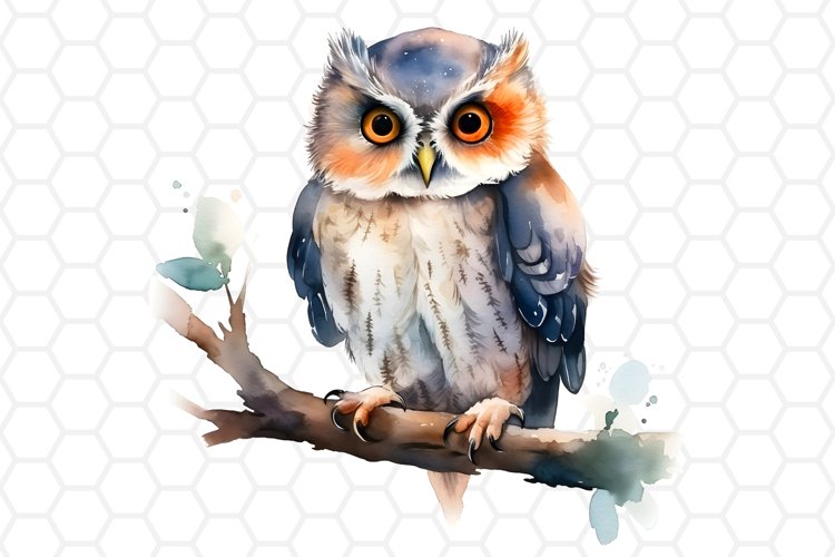 Cute Watercolor Owl Sublimation Clipart 