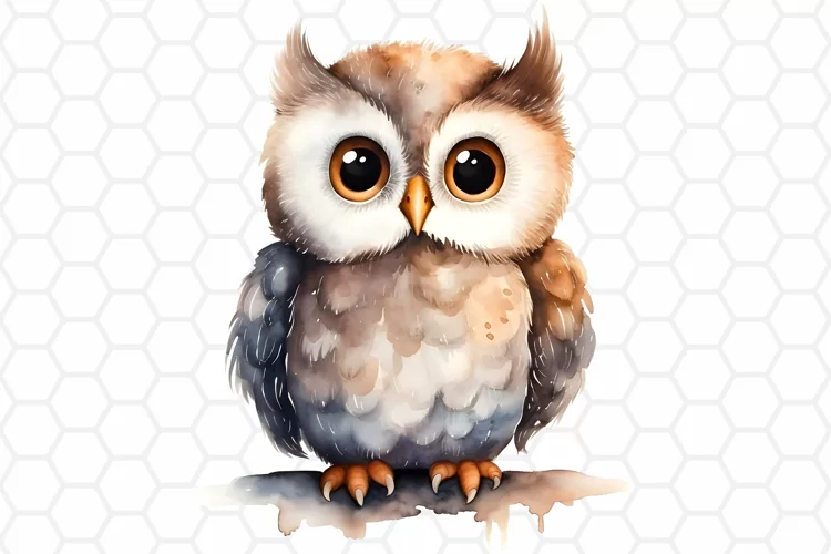 Cute Watercolor Owl Sublimation Clipart PNG