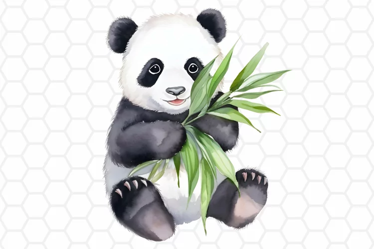 Cute Watercolor Panda Clipart, Sublimation PNG
