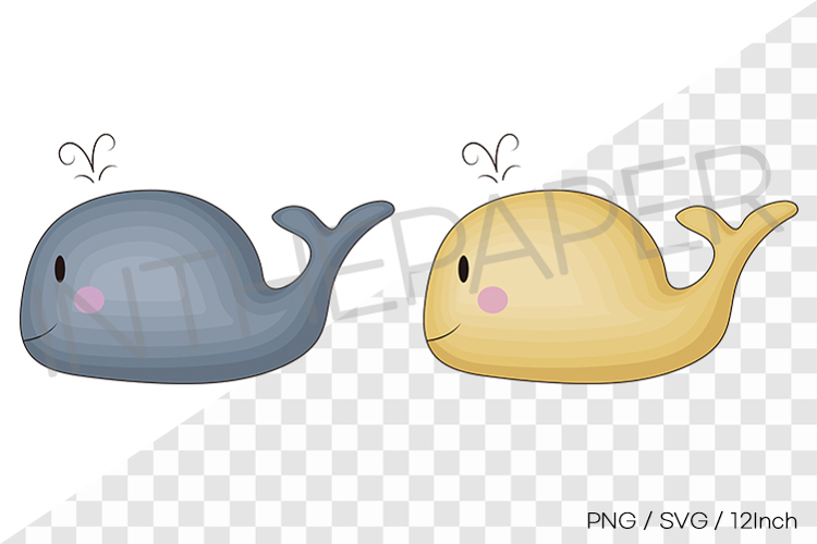 Whale Illustration Image 12