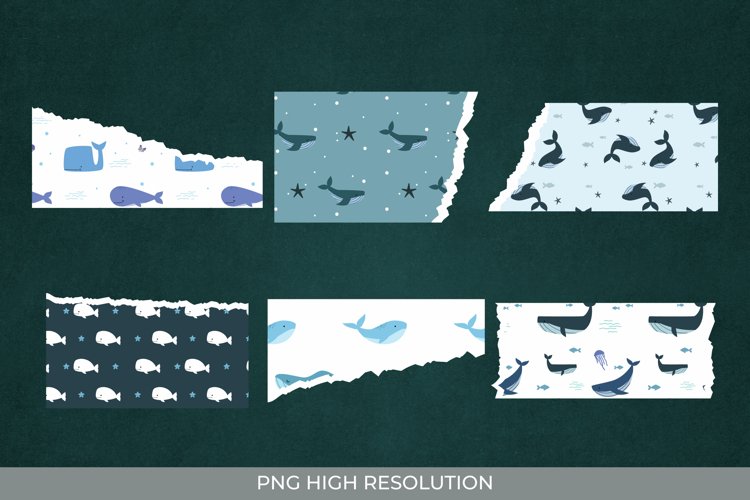 Whale Png Image 20
