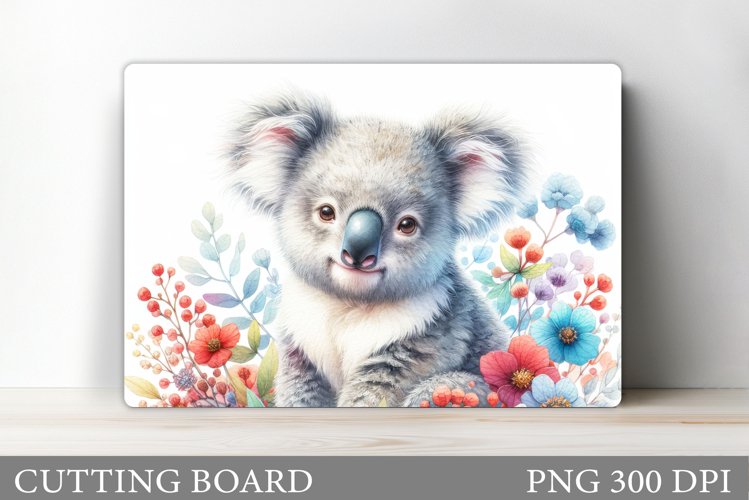 Cute Koala Pictures Image 13