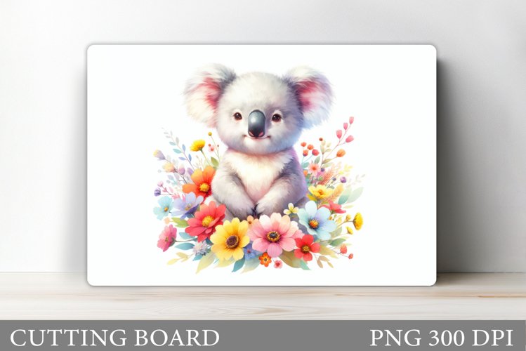Cute Koala Pictures Image 23