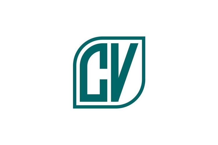 Cv Template Image 15