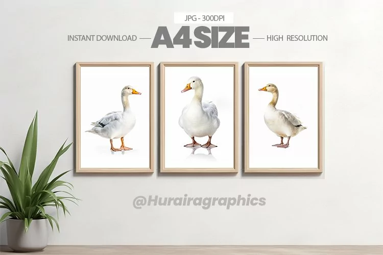 Bird Wall Art - 03 Variations