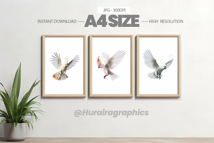 Bird Wall Art - 03 Variations