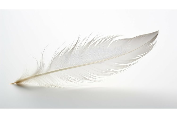 Simple Background Image 9
