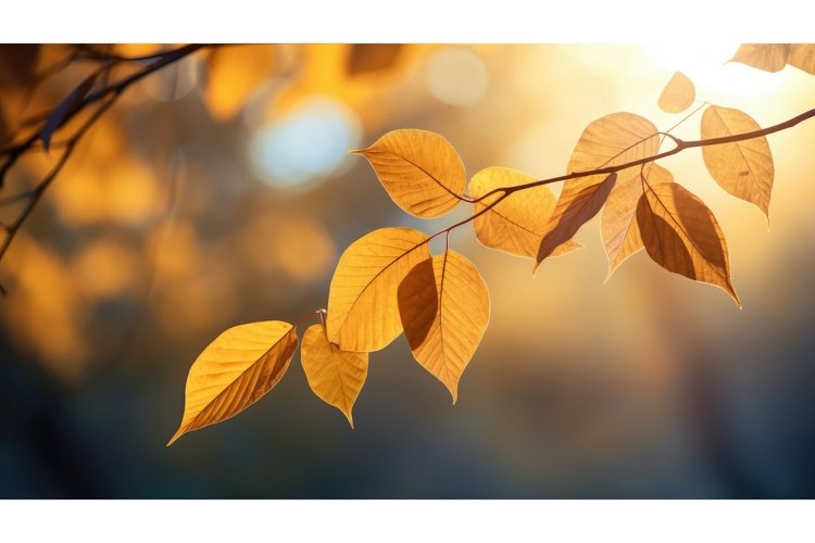 Beautiful Clipart Image 7