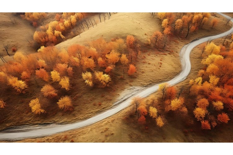 Nature Illustration Image 4