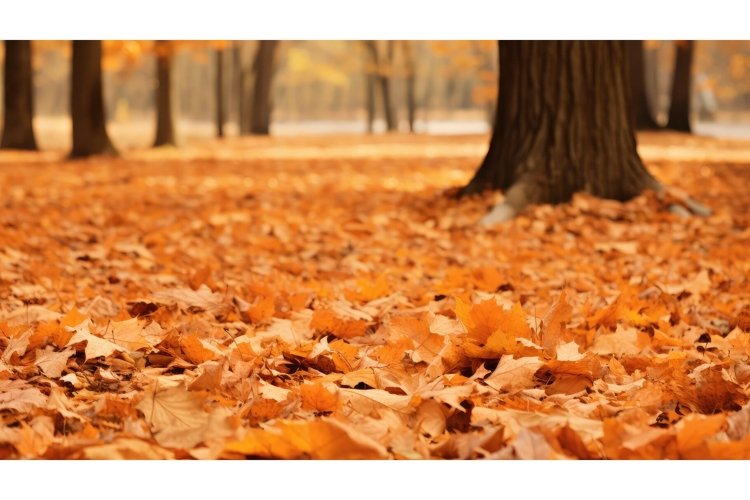 Nature Illustration Image 19