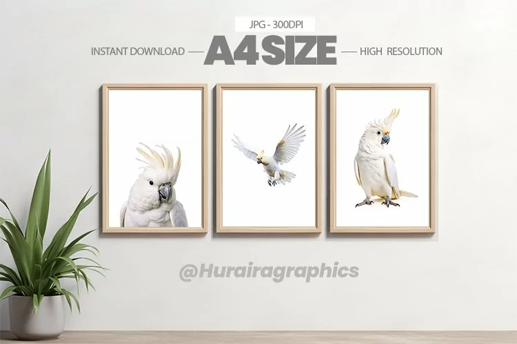 Bird Wall Art - 03 Variations