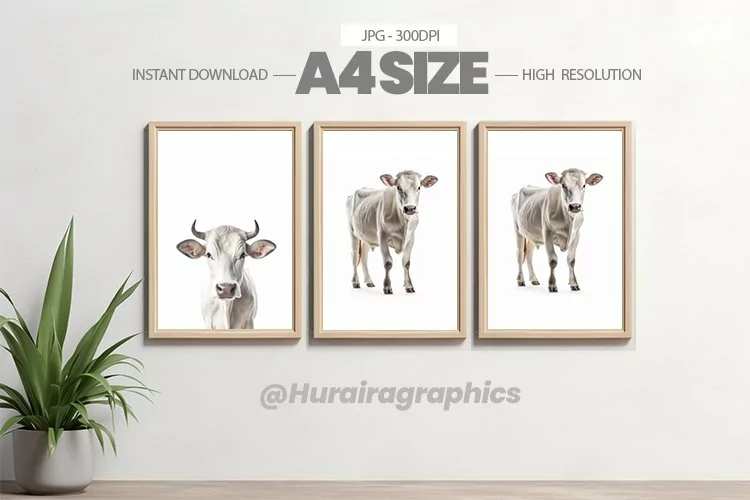Safari Animal Wall Art - 03 Variations