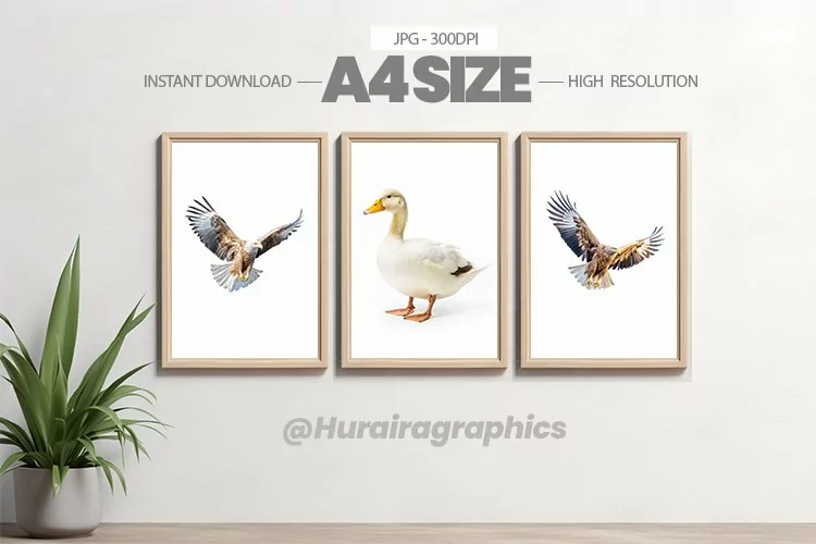 Bird Wall Art - 03 Variations