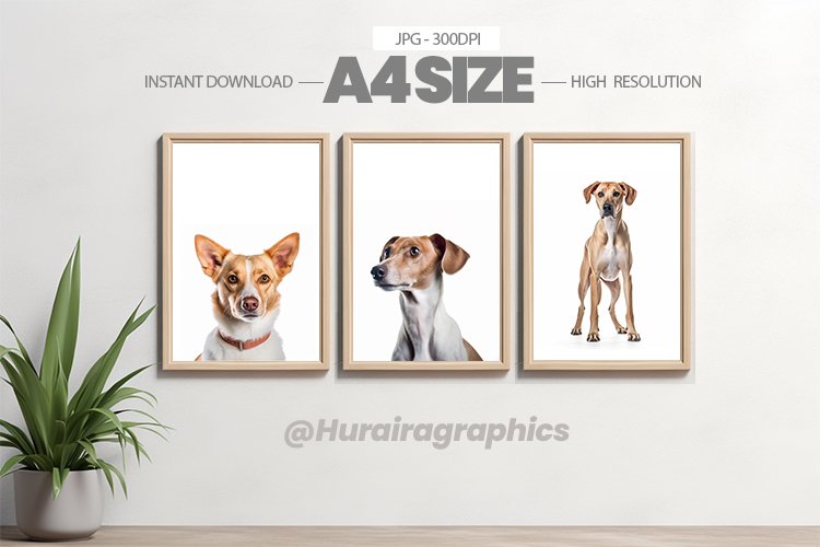 Animal Wall Art - 03 Variations