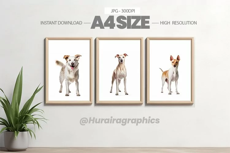 Animal Wall Art - 03 Variations