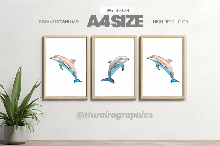 Fish Wall Art - 03 Variations