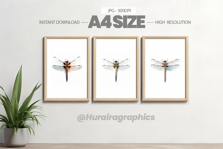 Animal Wall Art - 03 Variations