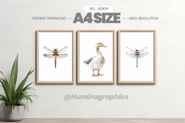 Animal Wall Art - 03 Variations