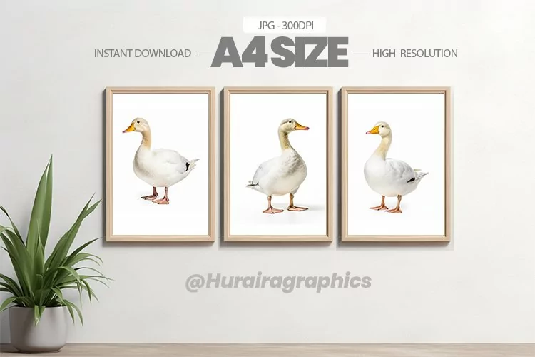 Bird Wall Art - 03 Variations