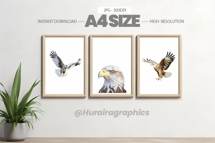 Bird Wall Art - 03 Variations