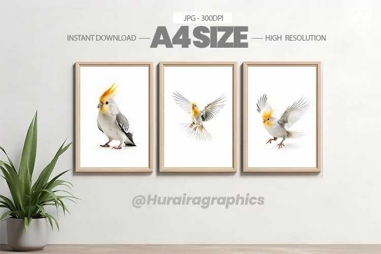 Bird Wall Art - 03 Variations