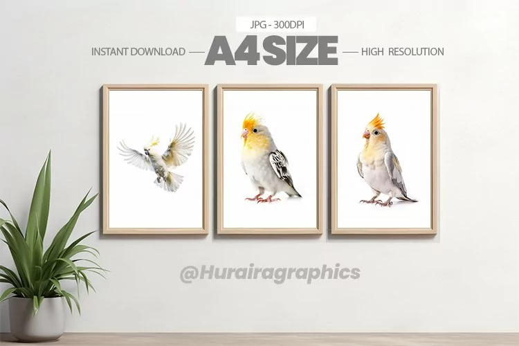 Bird Wall Art - 03 Variations