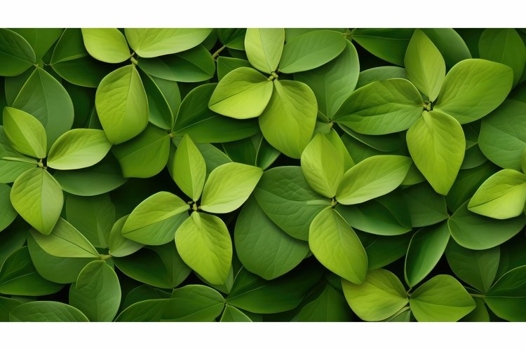 composition design shapes background