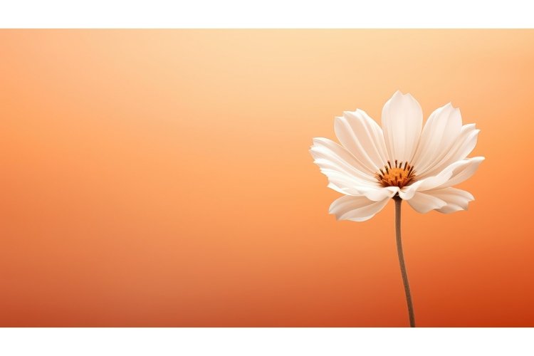 Orange Background Image 5