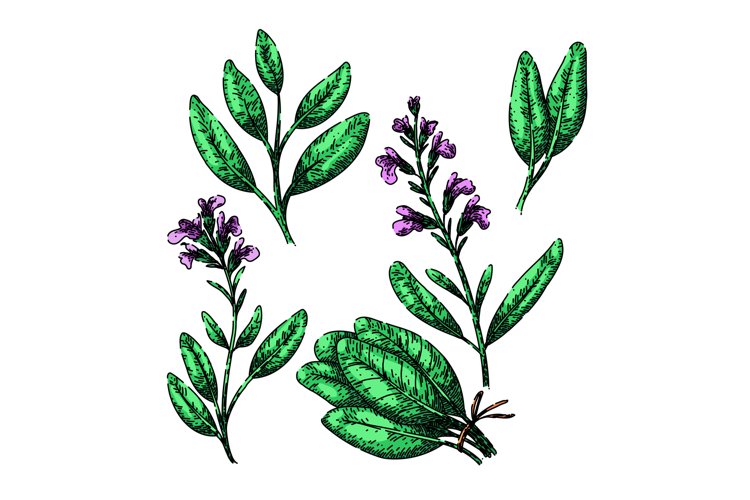 Hand Vector Image 22