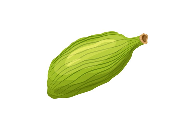 Seed Clipart Image 23