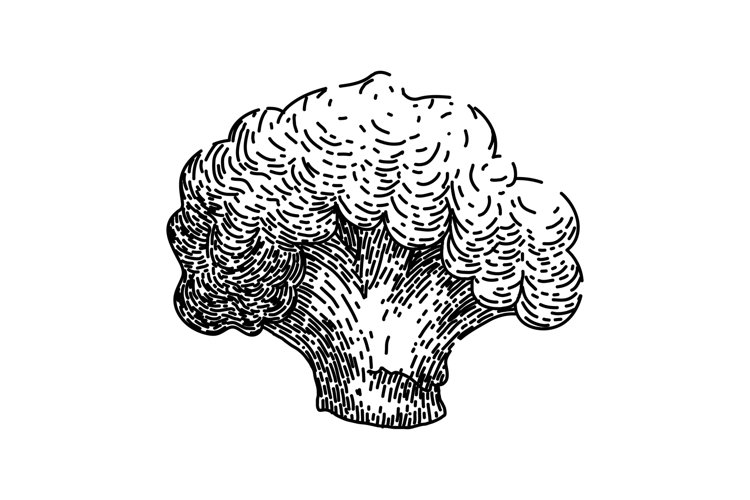 Hand Vector Image 2