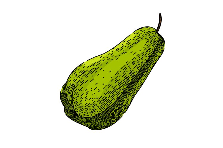 Hand Vector Image 7