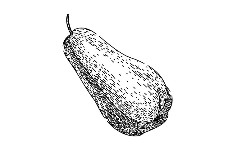 Hand Vector Image 8