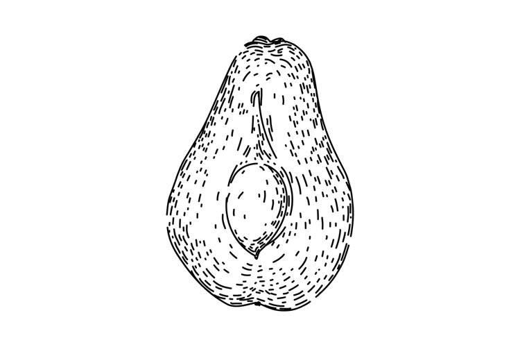 Hand Vector Image 10